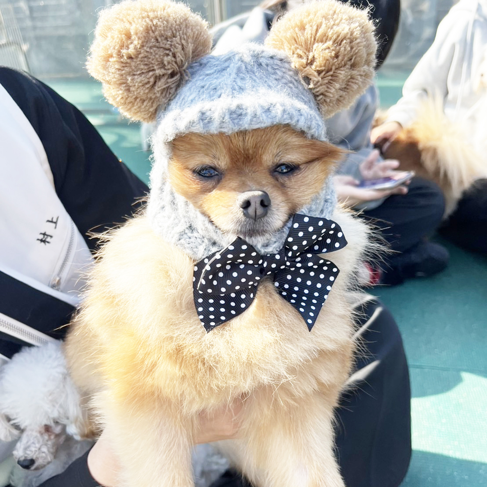 kBefʐ^B